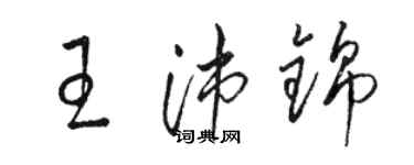 駱恆光王沛錦草書個性簽名怎么寫