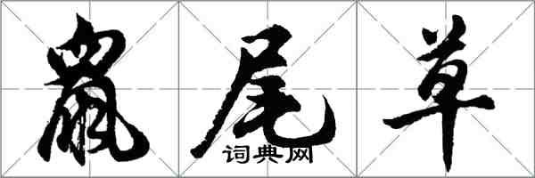 胡問遂鼠尾草行書怎么寫