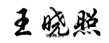 胡問遂王曉照行書個性簽名怎么寫