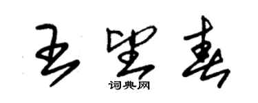 朱錫榮王望春草書個性簽名怎么寫