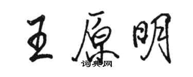 駱恆光王原明行書個性簽名怎么寫