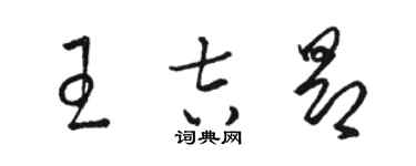 駱恆光王吉昂草書個性簽名怎么寫