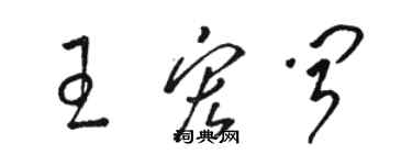 駱恆光王宏聞草書個性簽名怎么寫