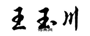 胡問遂王玉川行書個性簽名怎么寫