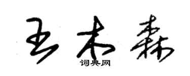 朱錫榮王木森草書個性簽名怎么寫