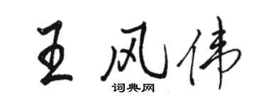 駱恆光王風偉行書個性簽名怎么寫