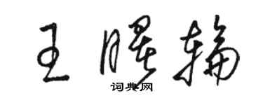 駱恆光王曙輪草書個性簽名怎么寫