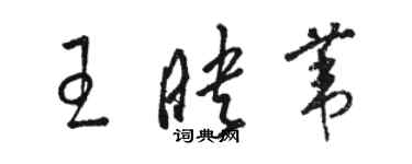 駱恆光王映葦草書個性簽名怎么寫