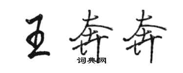 駱恆光王奔奔行書個性簽名怎么寫