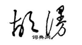 駱恆光胡漫草書個性簽名怎么寫