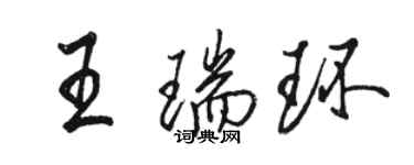 駱恆光王瑞環行書個性簽名怎么寫