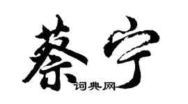 胡問遂蔡寧行書個性簽名怎么寫