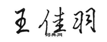 駱恆光王佳羽行書個性簽名怎么寫