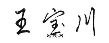 駱恆光王寶川行書個性簽名怎么寫