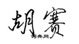 駱恆光胡賽行書個性簽名怎么寫