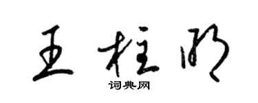 梁錦英王柱明草書個性簽名怎么寫
