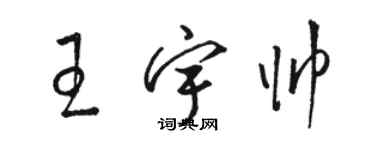 駱恆光王宇帥草書個性簽名怎么寫