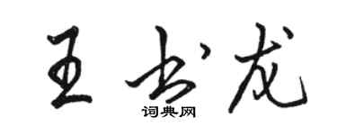 駱恆光王書龍行書個性簽名怎么寫