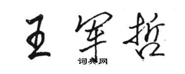 駱恆光王軍哲行書個性簽名怎么寫