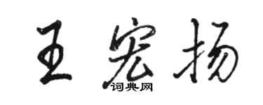 駱恆光王宏揚行書個性簽名怎么寫