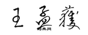 駱恆光王孟獲草書個性簽名怎么寫