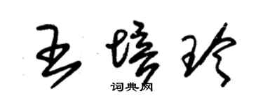 朱錫榮王培玲草書個性簽名怎么寫