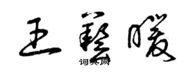 曾慶福王藝暖草書個性簽名怎么寫