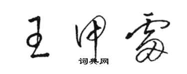 駱恆光王甲雷草書個性簽名怎么寫