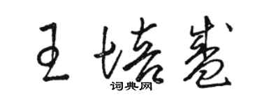 駱恆光王培盛草書個性簽名怎么寫