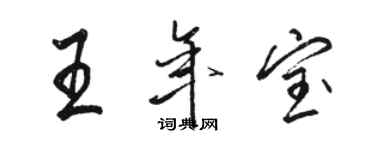 駱恆光王年寶行書個性簽名怎么寫