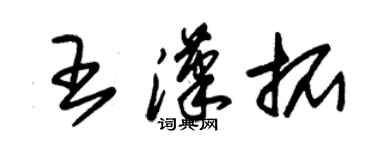 朱錫榮王漢拓草書個性簽名怎么寫