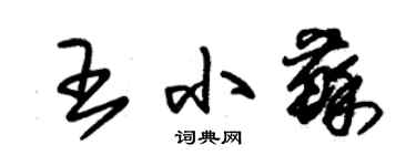 朱錫榮王小蘇草書個性簽名怎么寫