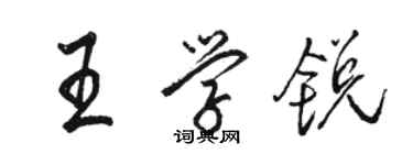 駱恆光王學銳行書個性簽名怎么寫