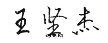 駱恆光王堅傑行書個性簽名怎么寫