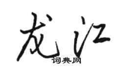 駱恆光龍江行書個性簽名怎么寫