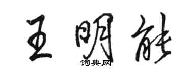 駱恆光王明能行書個性簽名怎么寫