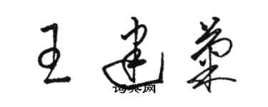 駱恆光王建菊草書個性簽名怎么寫