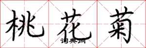 荊霄鵬桃花菊楷書怎么寫