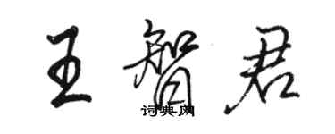 駱恆光王智君行書個性簽名怎么寫