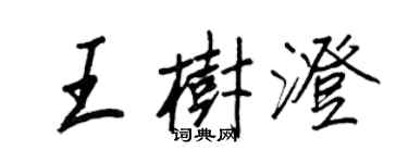 王正良王樹澄行書個性簽名怎么寫