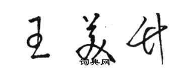 駱恆光王美竹草書個性簽名怎么寫