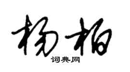 朱錫榮楊柏草書個性簽名怎么寫