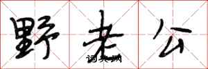段相林野老公行書怎么寫