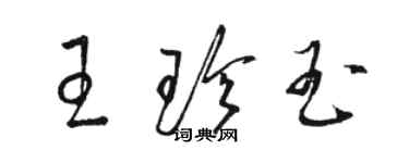 駱恆光王珍玉草書個性簽名怎么寫