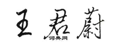 駱恆光王君蔚行書個性簽名怎么寫