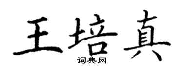 丁謙王培真楷書個性簽名怎么寫
