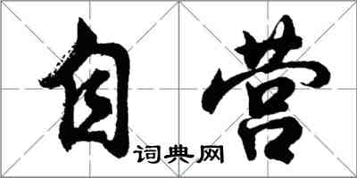 胡問遂自營行書怎么寫