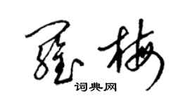 梁錦英羅梅草書個性簽名怎么寫