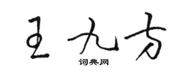 駱恆光王九方草書個性簽名怎么寫
