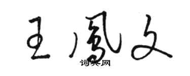 駱恆光王鳳文草書個性簽名怎么寫